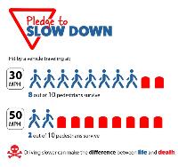 Pledge to Slow Down Speed Kills Info Graphic